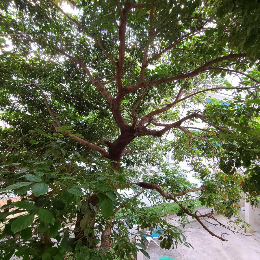 白砂灣藍海之丘blue Ocean Hill Bed & Breakfast Heng-ch'un Exterior foto